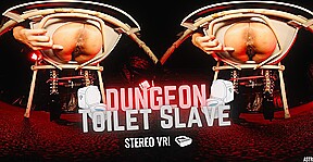 Dungeon Toilet Servant Feat Astrodomina