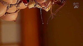 x2x2B5F2BFB3402374C52