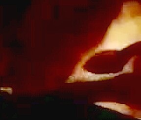 Homemade amateur blowjob