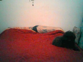 Al final pinto el 69 con carmen