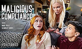 Malicious Compliance