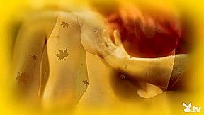 Playboy Centerfolds – PlayboyTV