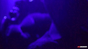 Sedona Reign’s Inner Slut Is Let Out Of The Cage