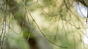 Snow White XXX An Axel Braun Parody – Scene 4