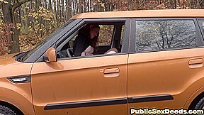 Ginger driving learner cockriding in car