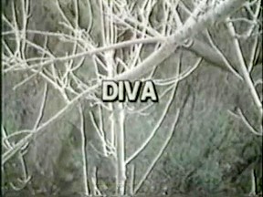 Big Breast Catfight Danni vs Santana