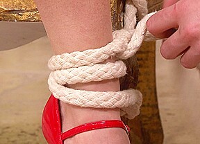 Bound and partially dicked