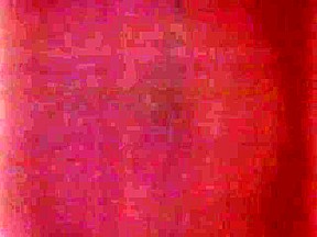 Black v White Catfight In Prison Cell