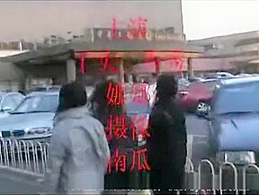 chinese catfight