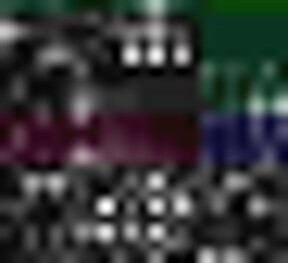 Diana Knight vs Venus Delight Catfight