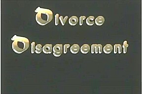 divorce disagreement catfight