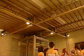 Girls humiliate girls pt1