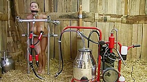 Hucow – Slave Training Bdsm