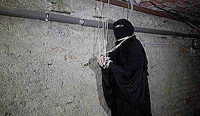 Marilyn Sugar & Max Dior in Hunky Neighbor Saves Woman And Gets Reward – Porncz