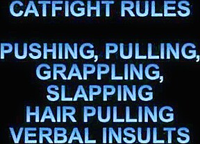 Mat catfight