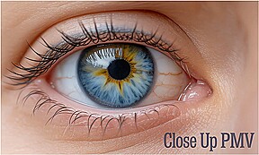 Pmv – Close Up (Vr Porn Music Video By Fap Vr)