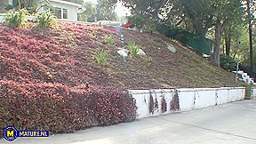 American Milf Nina Hartley Loves Hardcore Sex With Big Dicked Young Men – MatureNl