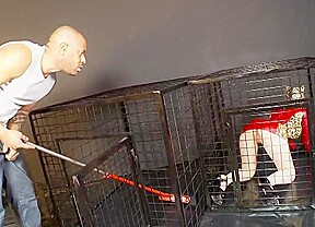 Obey the Kitty [Part 1]