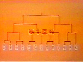 Topless women sumo #2