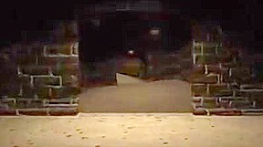 D. K. In Penthouse Underground Smut Peddler