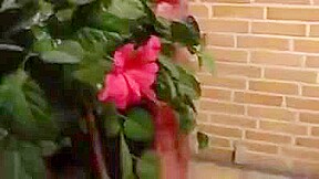 Sex is a Deadly Game – Danish