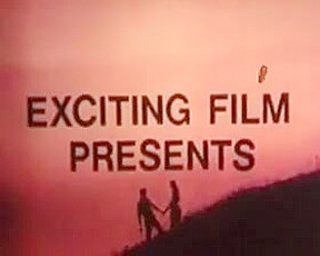 vintage 1970s danish Black Whooper cc79