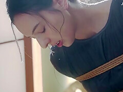 x1x3E33CE23915AE1A6F0