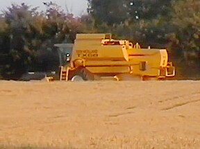 Aerlig amatoer porno 4 banana affair (full movie)