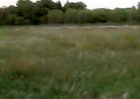 Danes in hot threesome