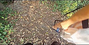 My fear of snakes is intense, yet strangely, the one I encountered in the forest did not trigger it.