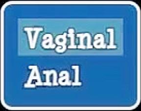 Lily Of The Valley Dildo In The Ass Anal Orgasm